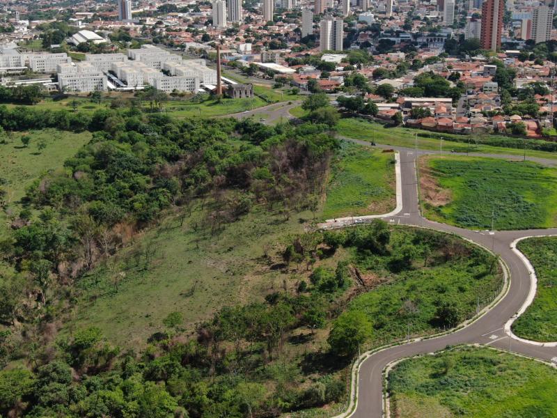 Polícia constatou presença irregular de 12 bovinos em uma área de vegetação nativa, na zona leste de Prudente