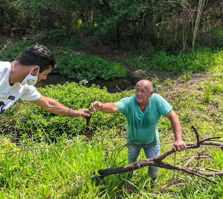 Moradores do Residencial Moacyr Trentin uniram-se para promover a conservação e revitalização de área de vegetação nativa