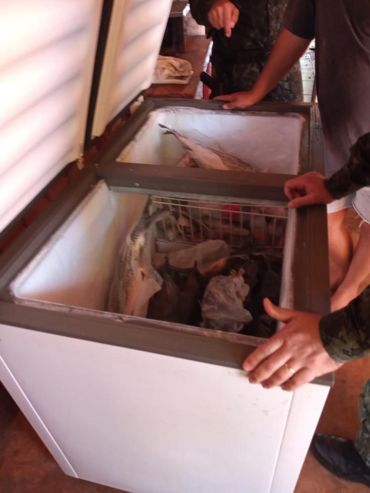  No freezer que estava do lado externo da casa, foram encontrados 56,7 kg de peixes nativos das espécies piau, curimbata e traíra