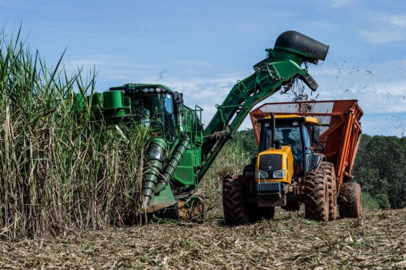 Produção de cana-de-açúcar foi tema do programa “Agro & Negócios”, na Rádio 101 FM de Presidente Prudente 