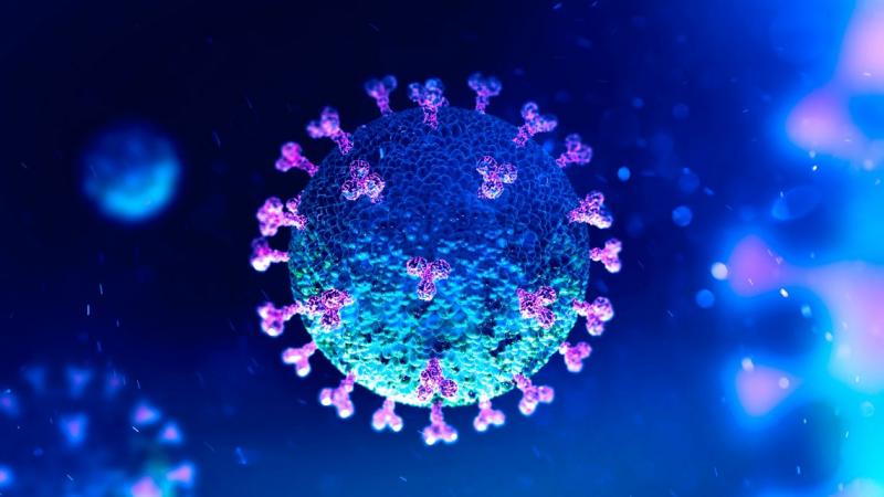 Ao todo, 112.311 pessoas foram contaminadas pelo novo coronavírus na região