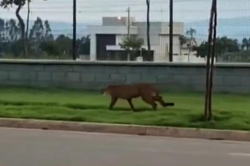 Imagens não foram feitas em Prudente