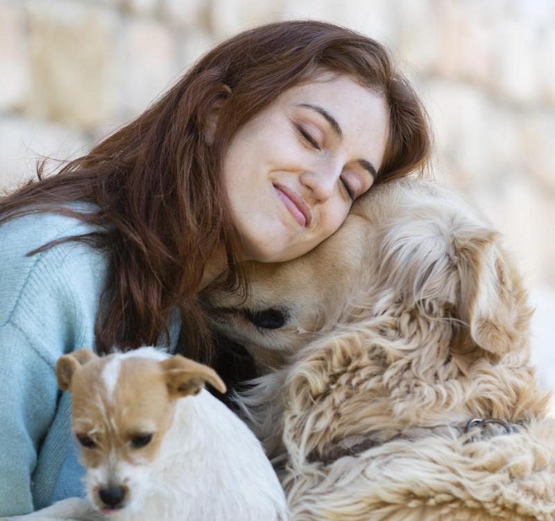 Se puder, ficar com seu animalzinho, acarinhá-lo e distraí-lo, é uma das formas mais eficazes de acalmá-lo