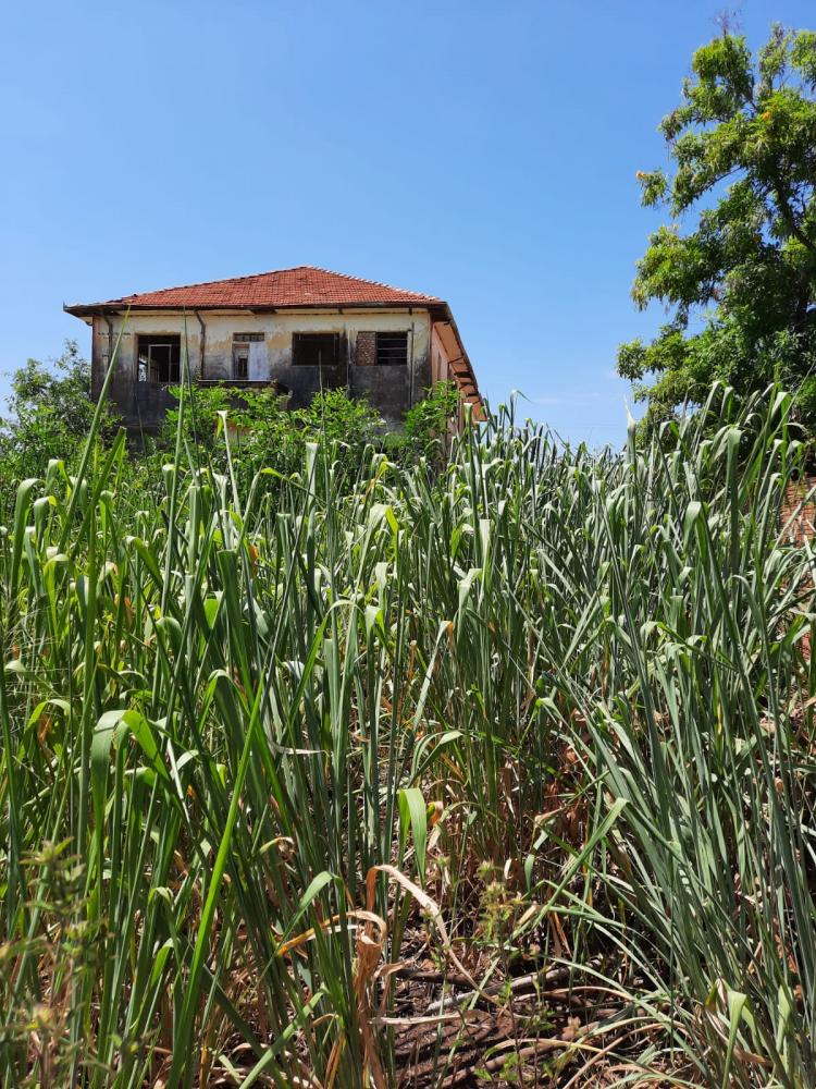 Estrutura qual epitaciano quer que se transforme em um centro na Vila Tibiriçá para rememorar a história da navegação em Epitácio