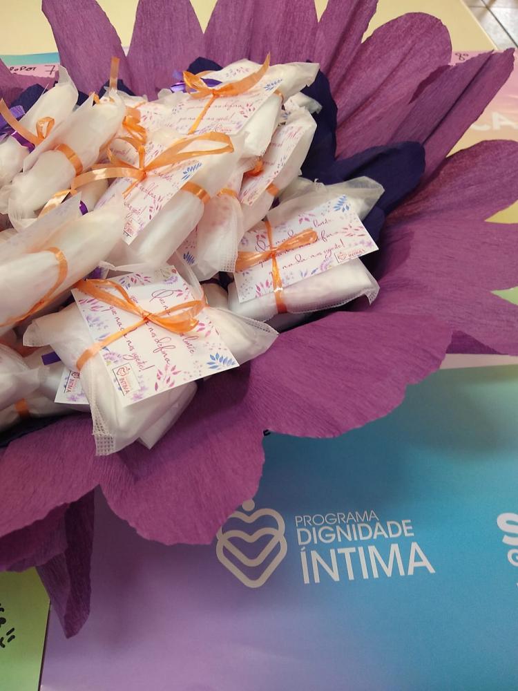 No Brasil, estima-se que 1 entre 4 meninas sofrem com o impacto da pobreza menstrual