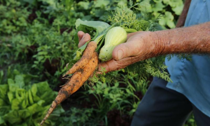 Famílias que vivem da agricultura familiar serão beneficiadas com a medida