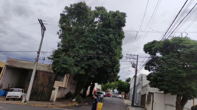Impacto da batida causou interrupção de energia na Vila Formosa e imediações