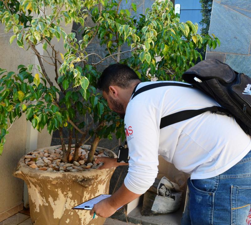 Agentes passarão de casa em casa para verificar possíveis criadouros do Aedes aegypti