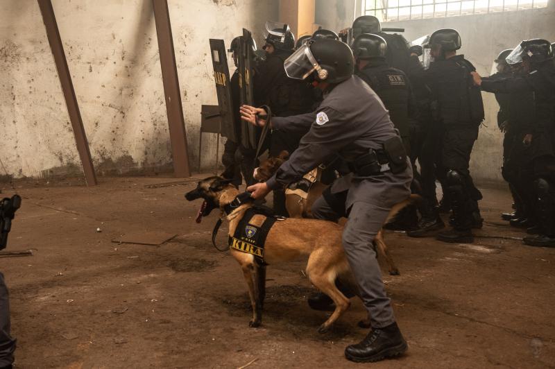 Cães farejadores já auxiliaram na retirada de 4,7 toneladas de drogas na região