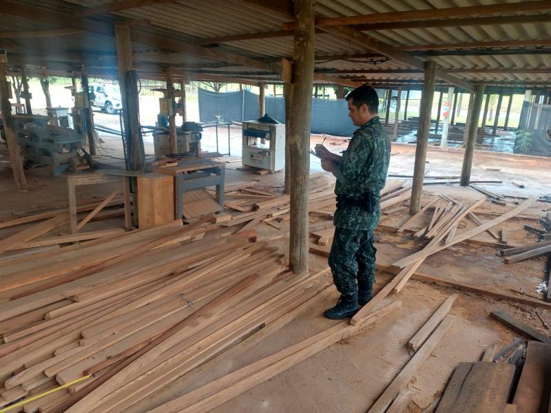 Agentes policiais constataram que 179,15 m³ de madeira nativa serrada foram vendidos sem Documento de Origem Florestal