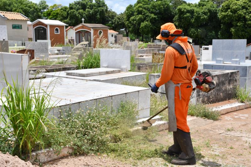 Agentes passaram inseticida em todo o território do Cemitério São João Batista