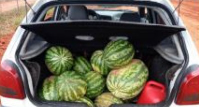 Perícia foi acionada e constatou que no interior do veículo havia 17 melancias, sendo 15 no porta-malas