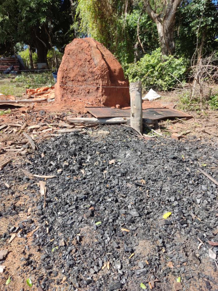 Policiais encontraram forno utilizado para produção do carvão, proveniente da lenha de eucalipto e árvores frutíferas