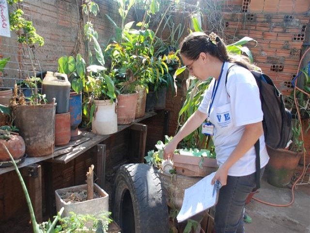 Em Prudente, 1.485 pessoas foram diagnosticadas com a doença neste ano; ações de combate ao Aedes são intensificadas