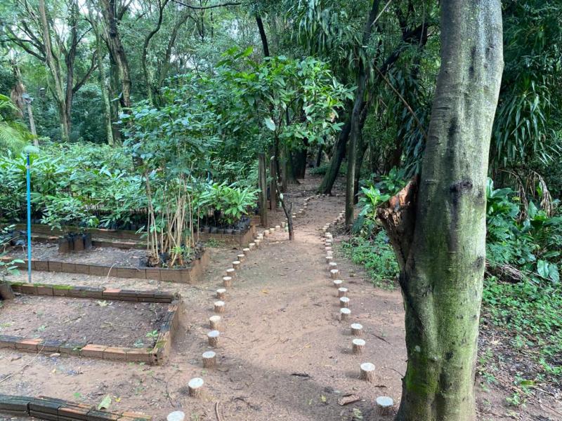 Atendimentos de saúde ocorrerão no Horto Florestal, no Jardim Jequitibás