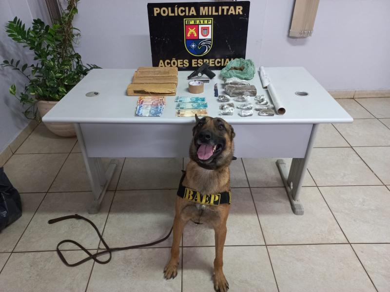 Cão de faro do canil do Baep localizou quatro tijolos de maconha no terreno da residência do suspeito, de 36 anos