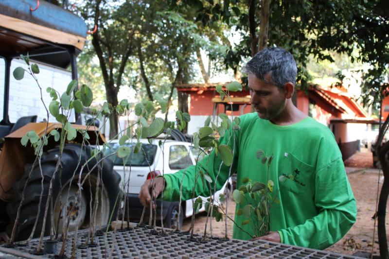 Doação das mudas faz parte da programação da Semana do Cooperativismo