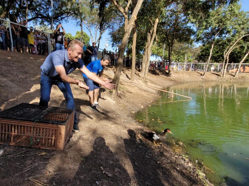 Ed Thomas fez a soltura de patos na lagoa conhecida pela presença das aves