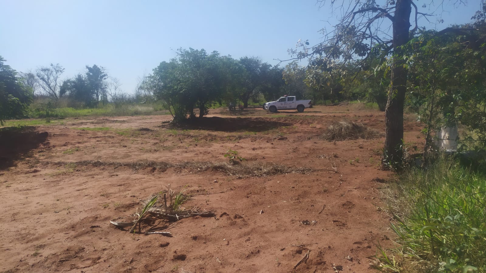 Polícia registrou degradação de vegetação em área de reserva legal às margens de vicinal em Epitácio