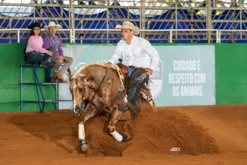 indústria do cavalo movimenta, por ano, no Brasil mais de R＄ 30 bilhões, segundo dados do IBEqui 