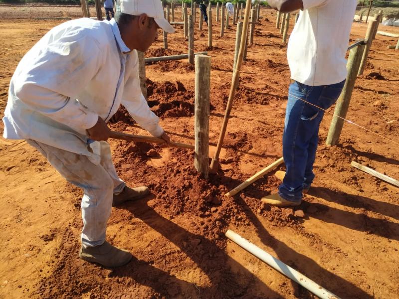 Viveiro Municipal em Mirante é construído anexo ao Centro de Triagem de Coleta