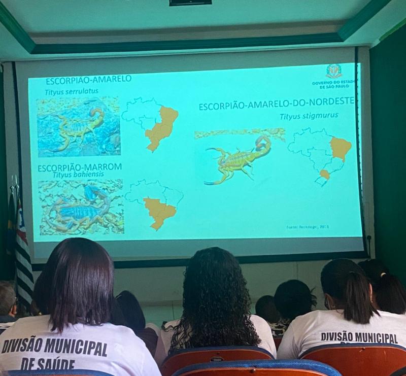 Mais de 30 agentes comunitários de saúde e de controle de vetores de Bernardes passaram por capacitação sobre escorpião