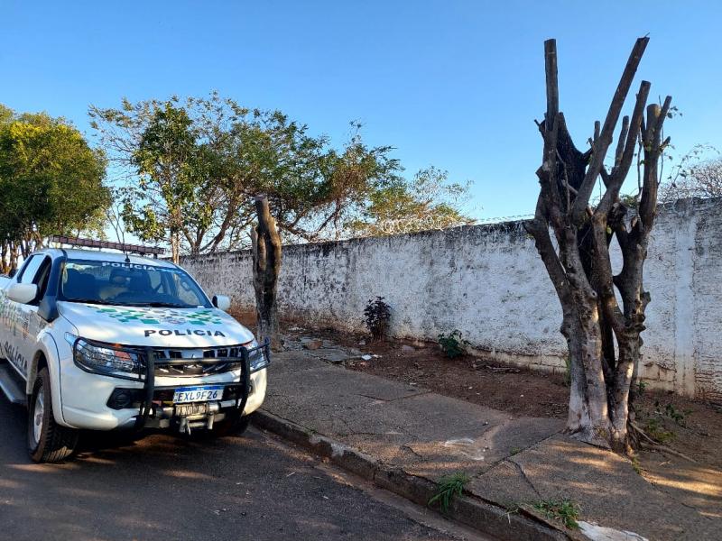 Agentes da Polícia Ambiental constataram que foi efetuada poda drástica de 5 árvores da espécie Ficus