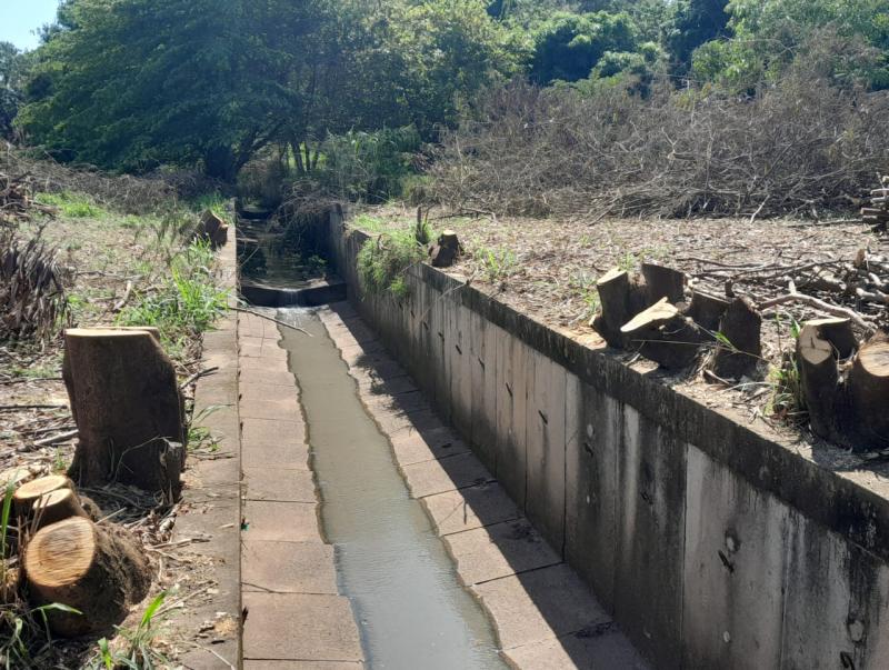 Oito árvores foram suprimidas em APP às margens do Córrego do Veado, no Parque São Matheus, em  Prudente