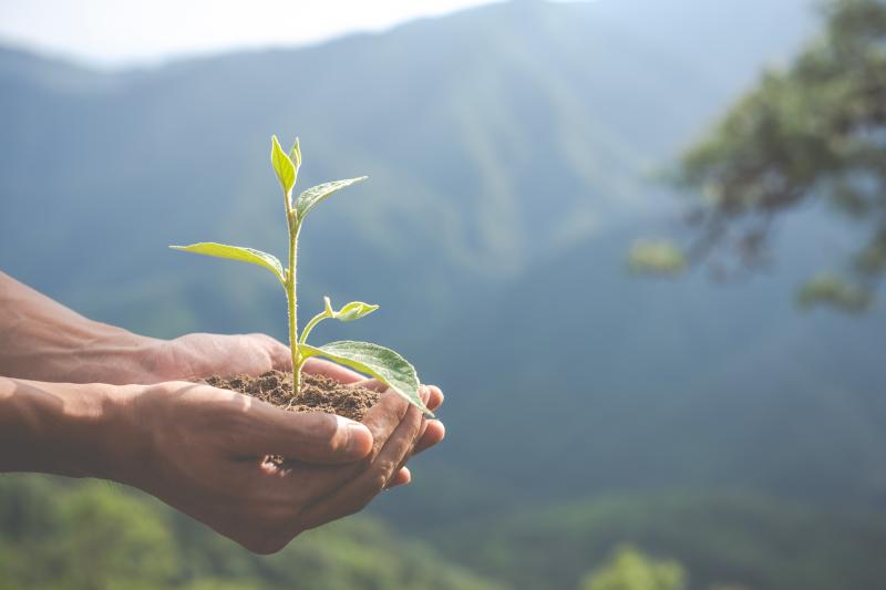 programa tem o propósito de medir e apoiar a eficiência da gestão ambiental com a descentralização e valorização da agenda ambiental nos municípios