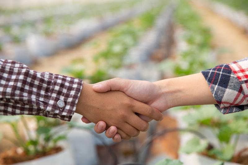 Evento busca evidenciar potencial das mulheres no agronegócio