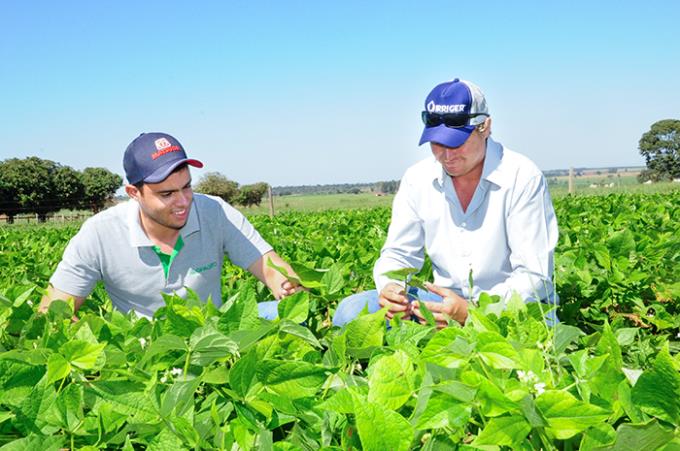 Agronegócio é a base da economia da 10ª RA, tendo Prudente e seu entorno como polo das atividades deste importante eixo econômico do oeste paulista