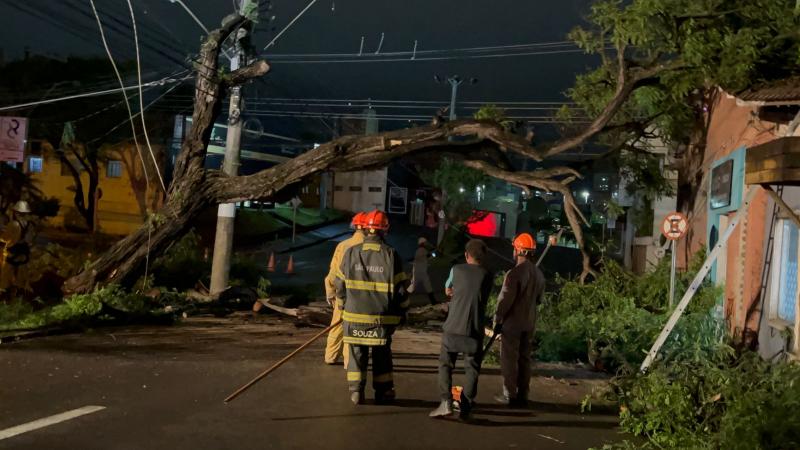 Queda obrigou o Corpo de Bombeiros e Energisa a interromperem o trânsito