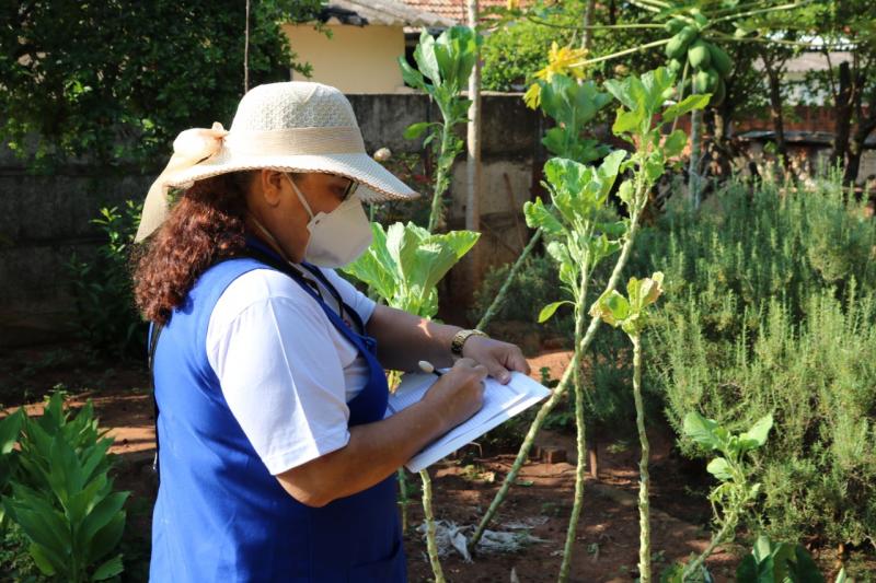 Arrastão contra a dengue começa em outubro no município de Rancharia