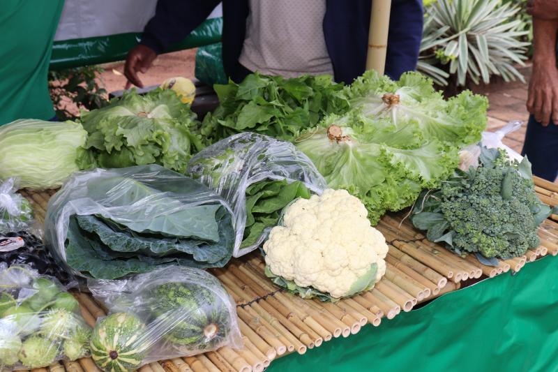 Produtores testam estande para a Feira do Produtor, que começa no dia 9 de outubro