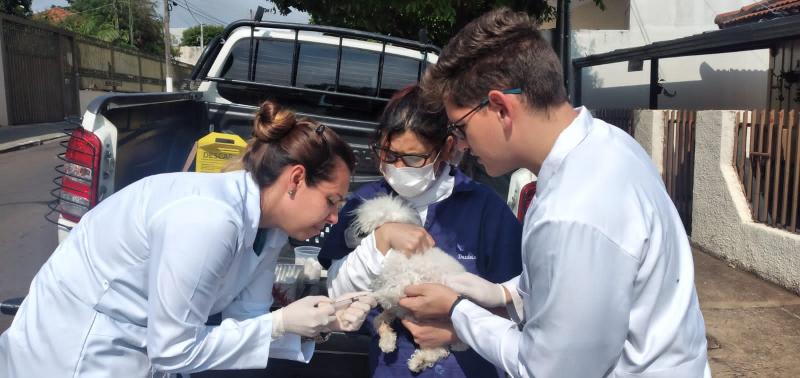 Equipes do Decen e da Casa da Agricultura de Pirapozinho fazem chipagem e coleta de sangue para detectar a leishmaniose