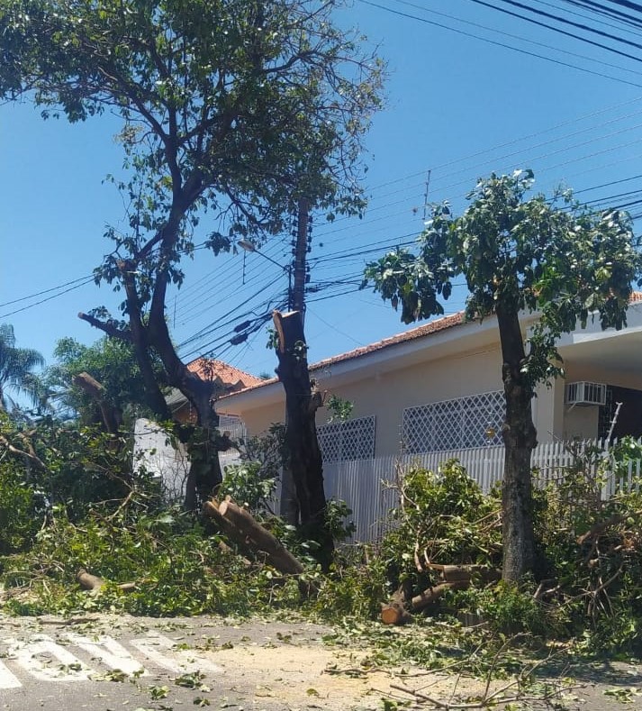 Polícia constatou o corte de quatro árvores na calçada de uma residência, na Vila São Pedro