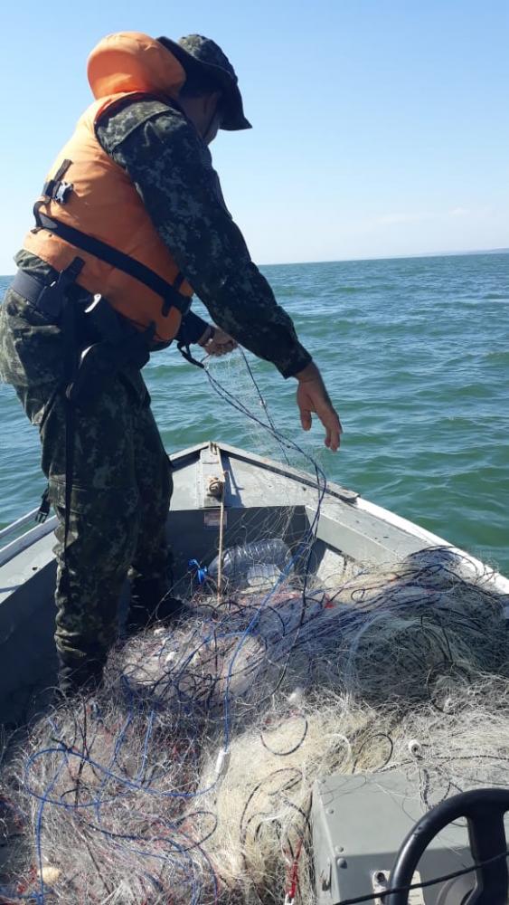 Período da piracema é referente a reprodução natural dos peixes e uma série de definições são estabelecidas nesta janela que se fecha ao final do segundo mês de 2023