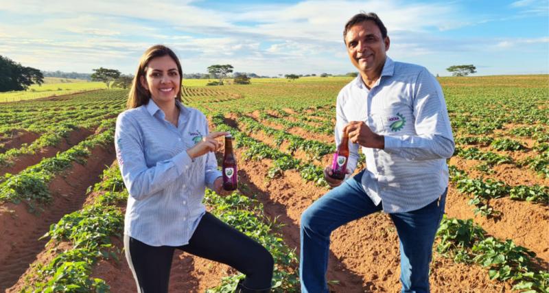 - Família Rocha possui diversas áreas, algumas arrendadas, totalizando cerca de 950 hectares