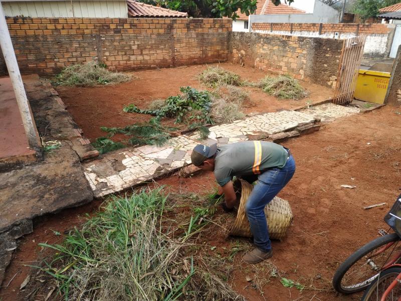 Prefeitura primeiro notifica o proprietário de terreno ou imóvel para que faça a limpeza