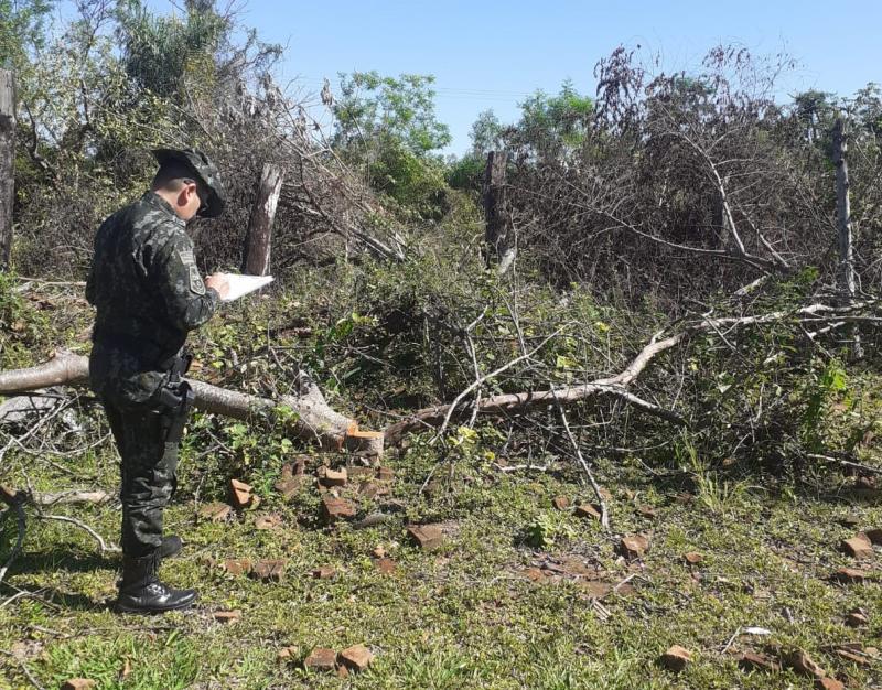 Policiais constataram supressão de 32 árvores nativas, nesta terça, em Teodoro Sampaio