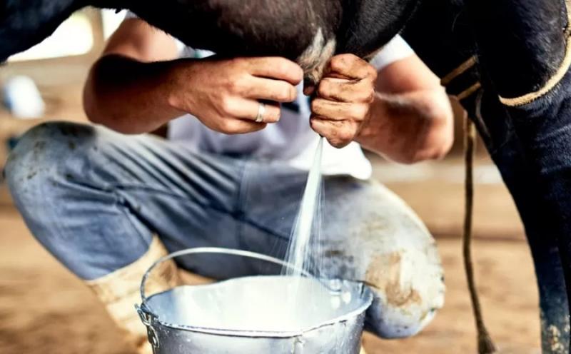 Esta foi a terceira queda mensal consecutiva ao produtor, apontam pesquisadores do Cepea 