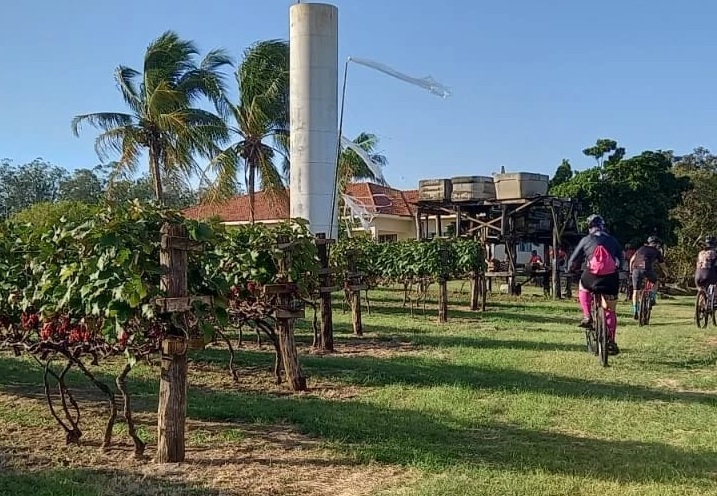 Além do prazer da atividade física, participantes passeiam entre os pomares