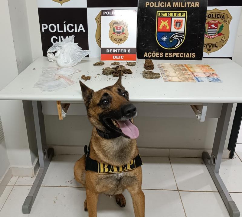 Cão policial Iron contribui com êxito nas buscas à residência, que resultou na prisão do indivíduo