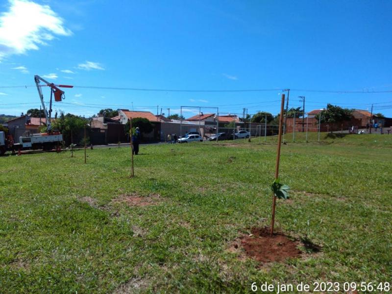 Ação faz parte do projeto de revitalização e arborização das praças da cidade, onde serão estabelecidas as Praças das Frutas