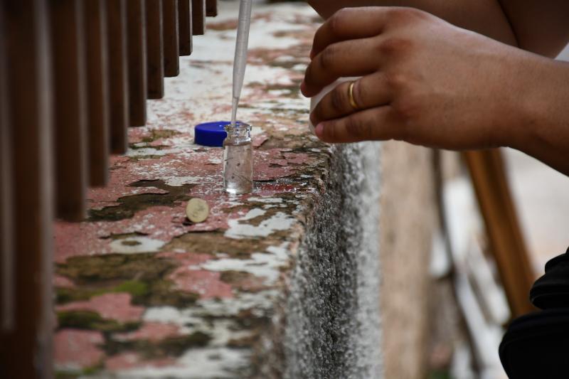 Como estratégia de prevenção, município realiza levantamento do índice larvário do mosquito transmissor