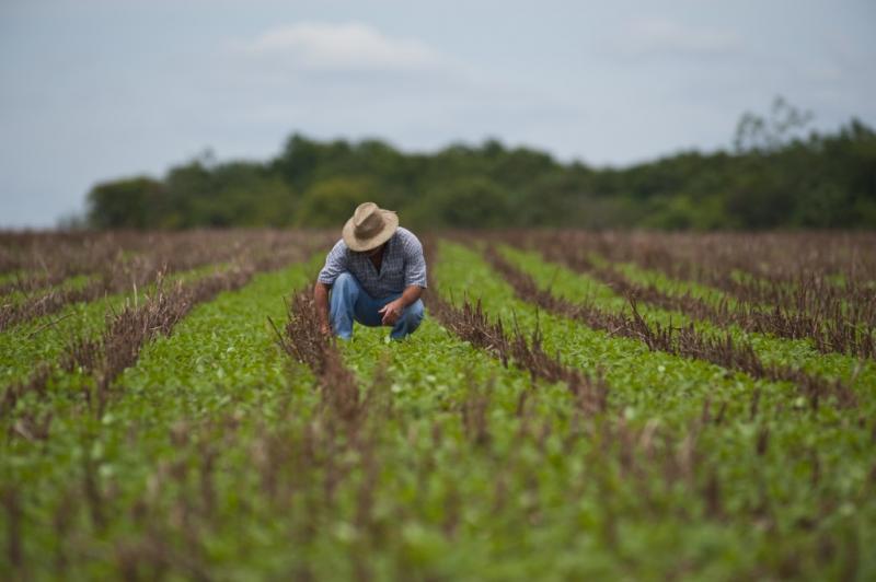 Dipam: produtores rurais têm até dia 31 de março para entregar a declaração