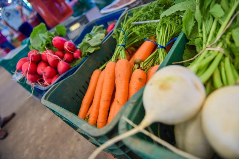 Outro objetivo é implantar e efetivar os conselhos municipais de segurança alimentar nos municípios 