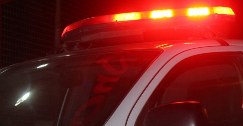 Polícia Rodoviária realizou atendimento a ocorrência de atropelamento de equinos na noite desta quarta-feira