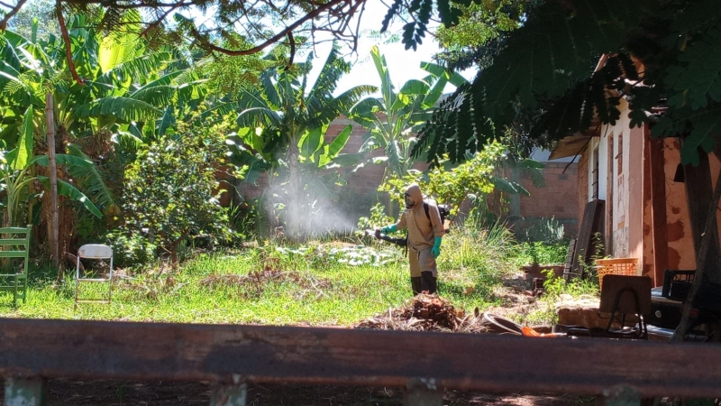 Prefeitura decretou situação de emergência devido ao estado de epidemia de dengue na cidade