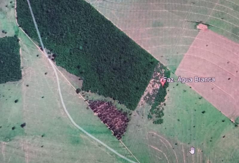 Supressão de vegetação natural na fazenda foi constatada após mensuração e sobreposição de imagens através de monitoramento via satélite